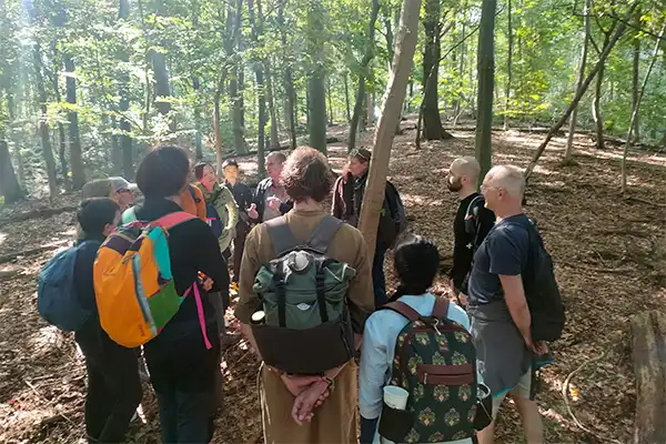 Group gathers around the guide in a sunlit forest